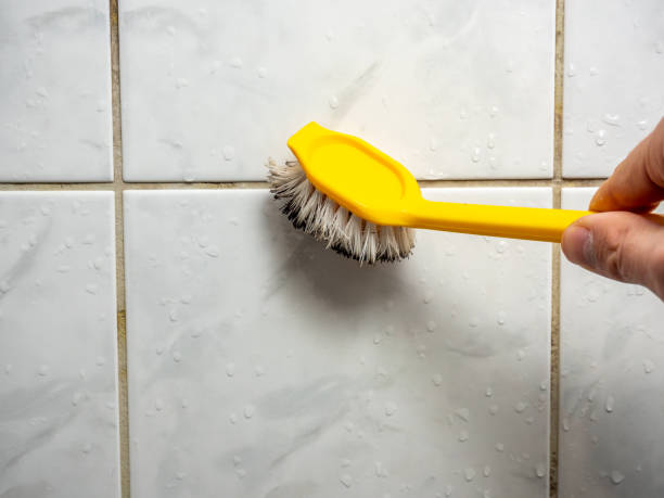 Best Local Mold Removal Service  in Verdi, NV