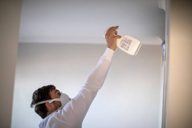 Best Mold Testing  in Verdi, NV