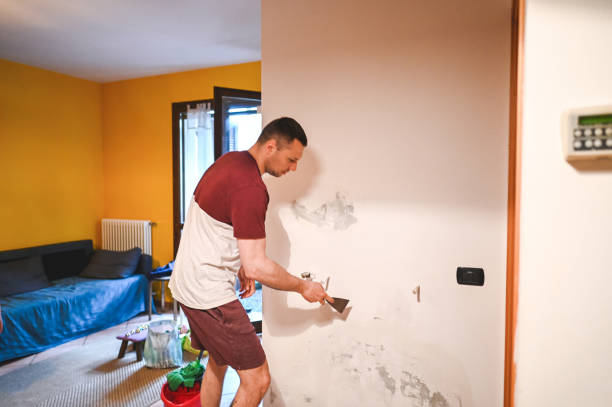 Best Water Damage Restoration  in Verdi, NV